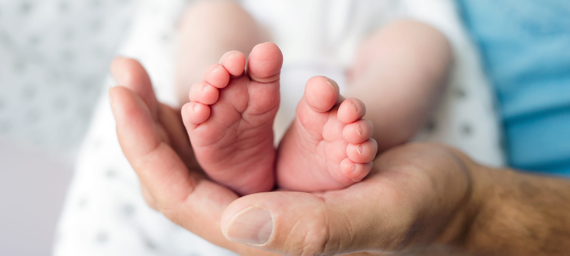 Fertility Hero Holistic Fertility